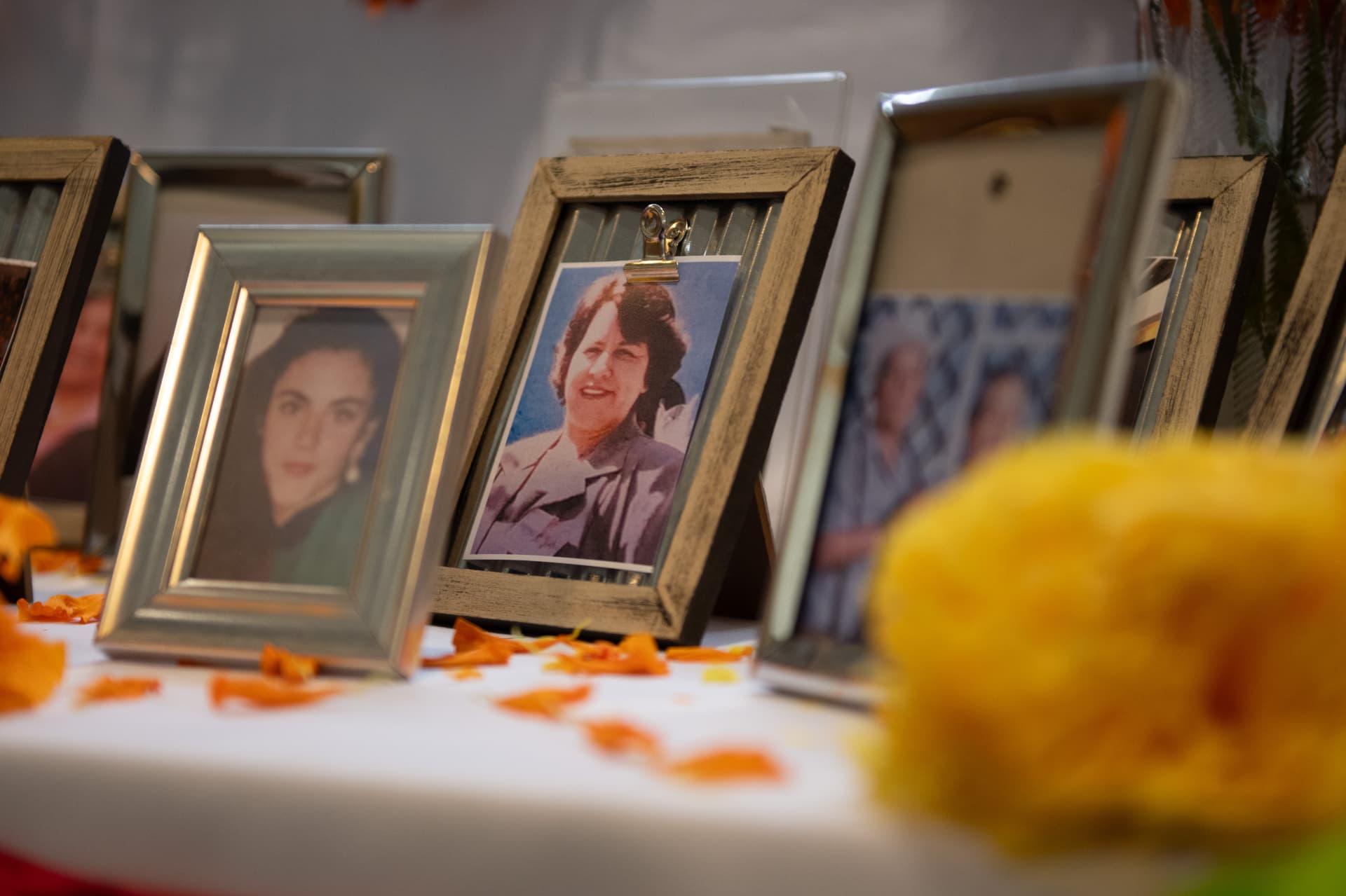 Portraits in wooden frames surrounded by marigolds on an ofrenda
