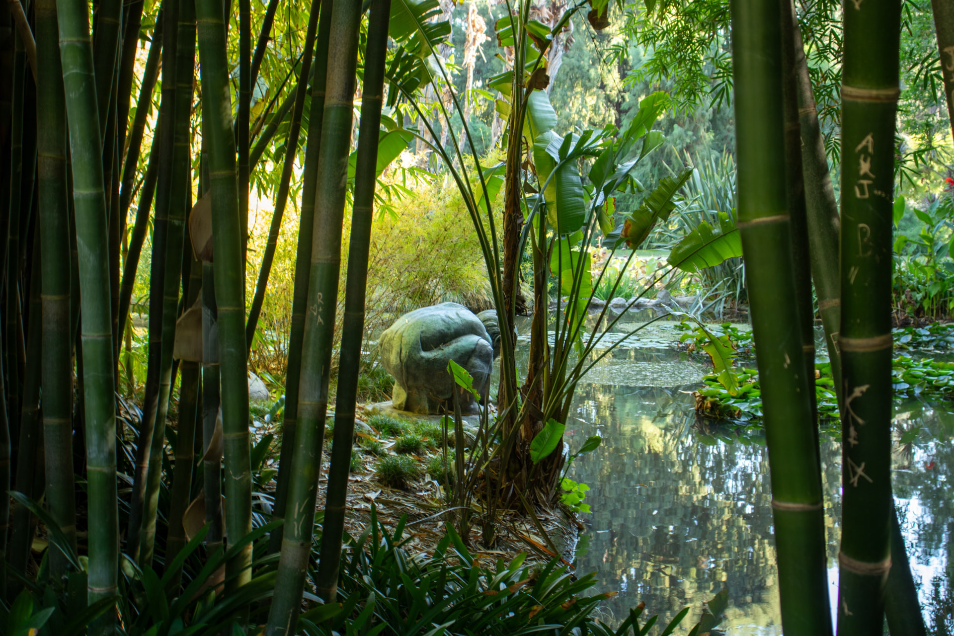 Stone sculpture beside a lily pond framed by bamboo