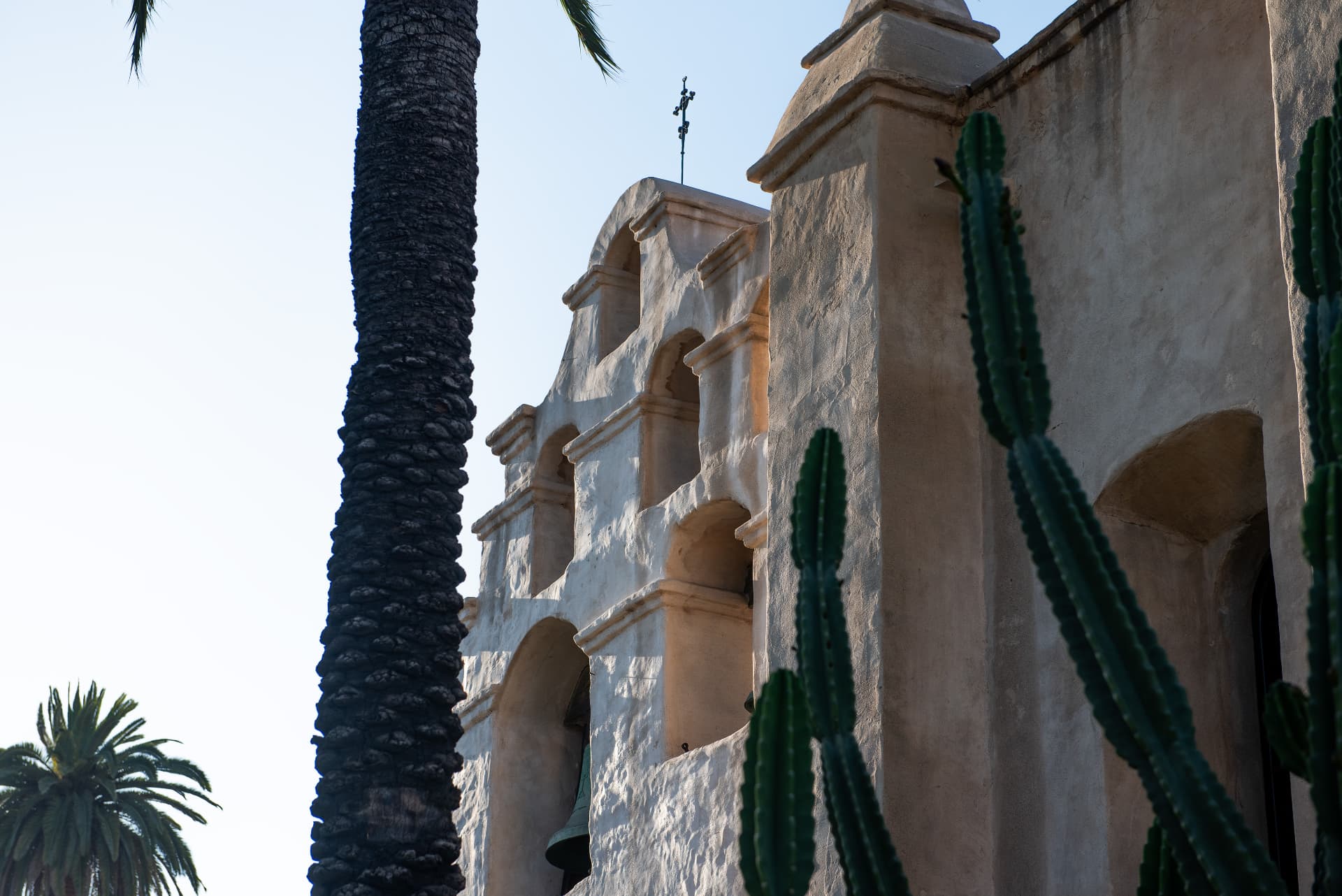 Bell tower detail with palms and cactus